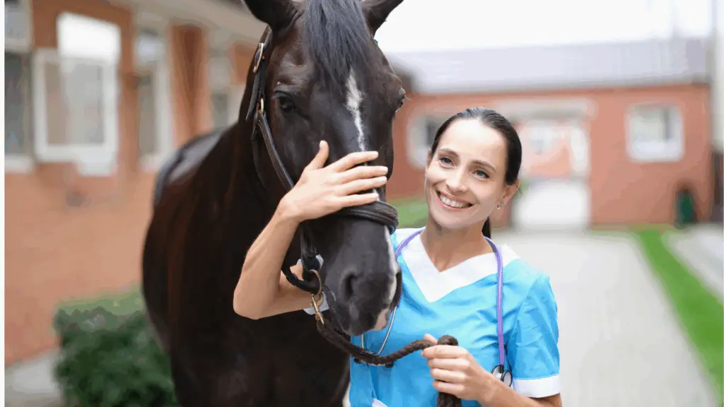 Animal Hospital Accountant Pleasanton California