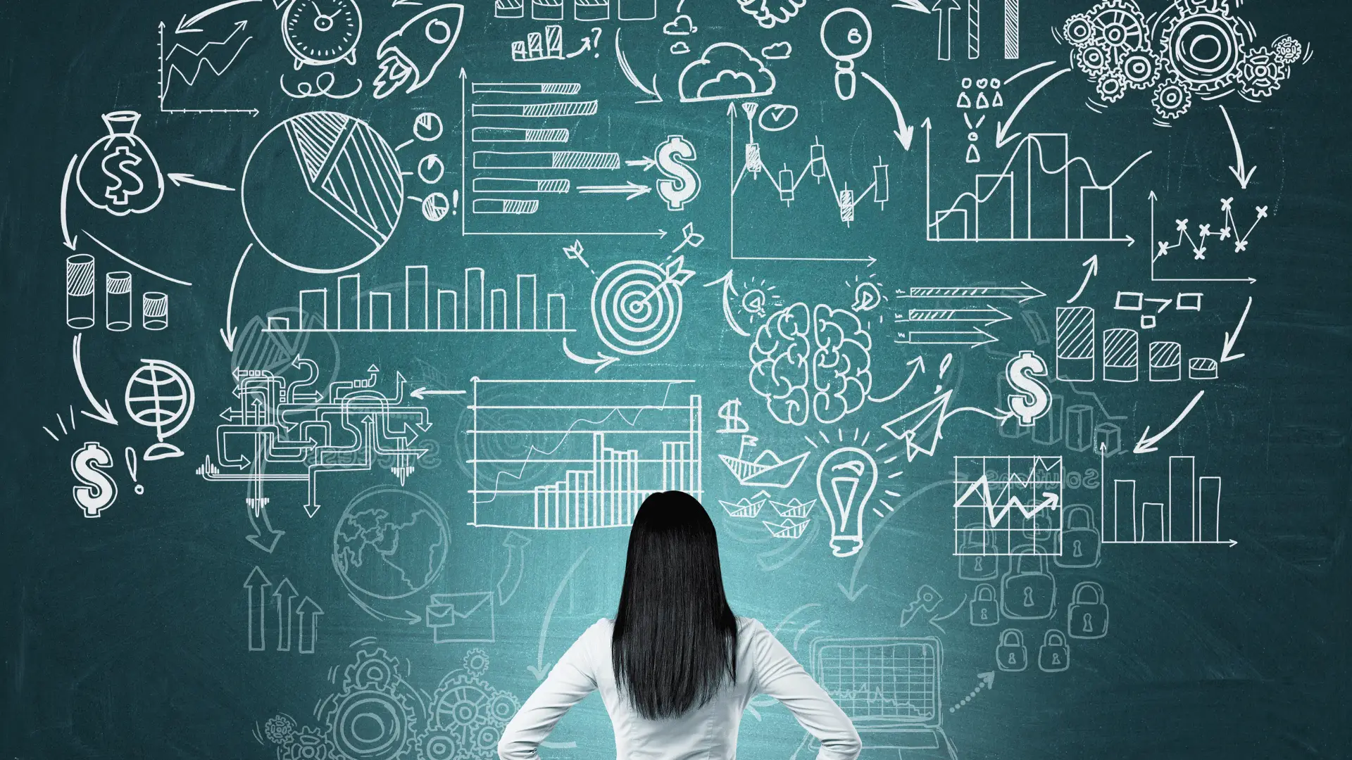 Our Full-Service Veterinary Accounting Package