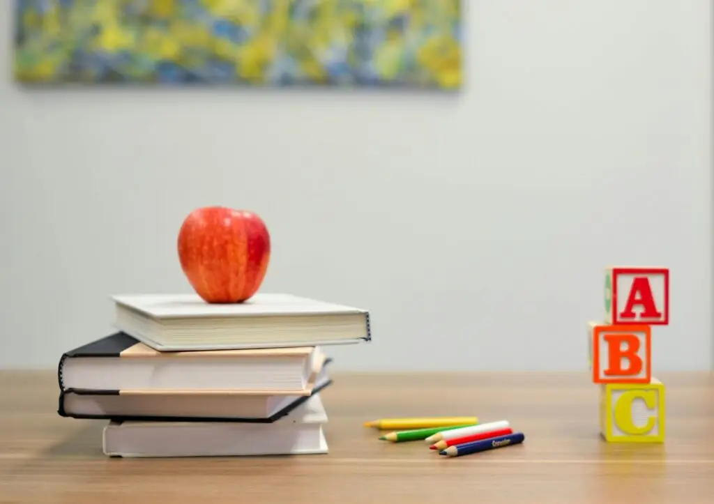 California Non-Public Agency school services